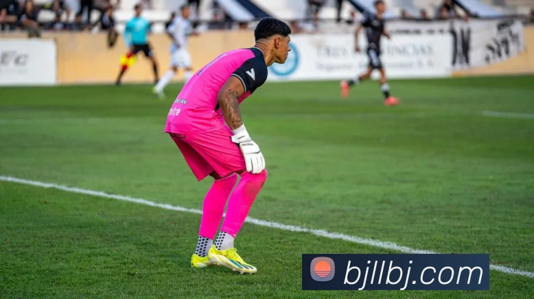 百家乐网站APP 封面图